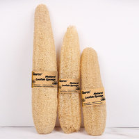 Éponge de nettoyage luffa naturelle nettoyage en profondeur vente à chaud produit de nettoyage de cuisine naturellement réutilisable 100% luffa bio naturel