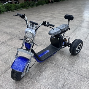 Unisex Tricycle EEC Approved Dirt Scooter Motorcycle 2000w Powerful 3000W Scooters Y20 High-Powered Motor 2000W Motor Delivers E - Product Image 6