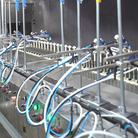 Machine de pulvérisation automatique personnalisée pour revêtement sous vide, ligne de pulvérisation trois-en-un avec double couche UV