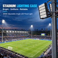 Fabricant de projecteurs LED, luminaires extérieurs personnalisés pour les terrains de sport, les entrepôts et les zones industrielles