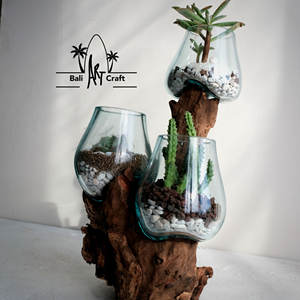 Terrarium <span class=keywords><strong>fermé</strong></span> de luxe Bouteille moyenne Vases pour plantes hydroponiques Bouteille en verre de terrarium à haute teneur en borosilicate faite à la main pour <span class=keywords><strong>plante</strong></span> - Product Image 2