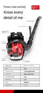 Portable Two-Stroke Garden Snow Blower Industrial Hair Dryer Fire Extinguishing Multifunctional Features Made Plastic <b>Gasoline</b> - Product Image 4