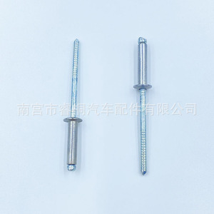 Rivet à tête ronde de type ouvert Shuangxuan 4,8x21 mm en acier galvanisé pour usage général - Product Image 1