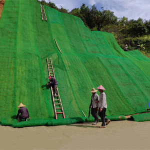 Réseau de végétation Geomat multicouche à bas prix et de bonne qualité Géomat en plastique 3D personnalisé pour le verdissement du paysage - Product Image 5