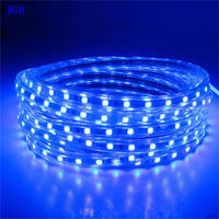 Bande LED RGB Bande LED 5050 SMD LED Smart Rope Lights Smartphone APP Controlled