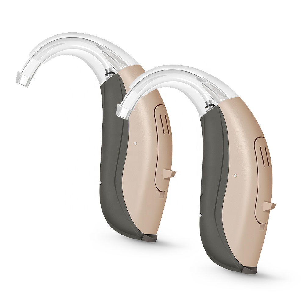 100Dbロスパートの中程度から重度のミニ補聴器Cic Price E Timbre and Headphones Hearing Aid