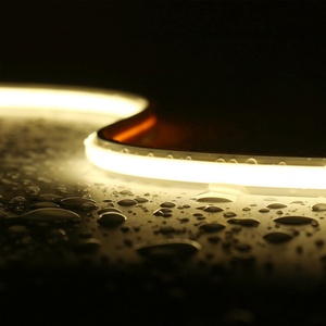 Tira de LED COB Mini Neón Blanco Cálido de 6*10mm, Silicona IP67, Luz Flexible de Neón Impermeable para Paisajismo de Hoteles - Product Image 1