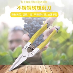 Nice <b>Pruning</b> Shears 6.5 In Alloy Steel Straight Head For Fruit <b>Trees</b> And Branches Garden <b>Tools</b> - Product Image 2