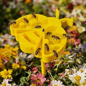 Bebedero de Plástico con Púas para Insectos, Estación de Agua para Abejas y Escarabajos de Jardín - Product Image 3