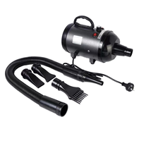 Sèche-cheveux professionnel puissant et écologique pour animaux de compagnie, souffleur d'eau pour chiens, vent chaud, séchage rapide, rechargeable, pour toilettage des animaux