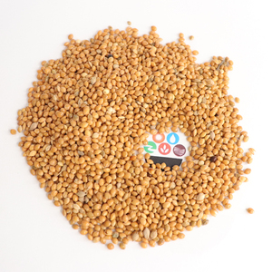 Millet jaune, millet proso, pour nourriture pour oiseaux - Product Image 1