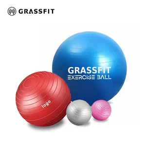 Großhandel Custom Logo Bunte Anti Burst Big Gymnastik ball 55cm 65cm 75cm Pilates Yoga Ball mit Pumpe