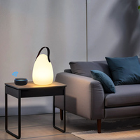 Lampe de table intelligente LED RGB 2000 mAh avec contrôle vocal via application WiFi, rechargeable, sphérique, avec minuterie, veilleuse, pour intérieur, extérieur et camping