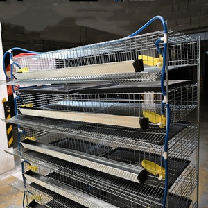 Nuova Attrezzatura per Allevamento di Animali e Pollame, Gabbia per Quaglie e Galline Ovaiole in Filo d'Acciaio a Basso Tenore di Carbonio, Capacità 200-400, Lunga Durata - Product Image 6