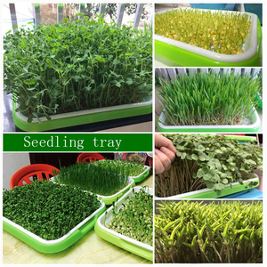 <span class=keywords><strong>Plateau</strong></span> de <span class=keywords><strong>semis</strong></span> en plastique <span class=keywords><strong>polystyrène</strong></span>, plantation hydroponique pour pépinière, <span class=keywords><strong>plateau</strong></span> de plantation de bébé - Product Image 6