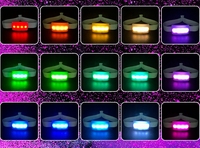 Événements fêtes concert Bracelet de Distance sans fil Télécommande Dmx Bracelet Led rougeoyant pour 15 couleurs changeantes