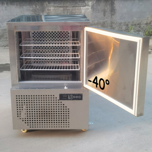 Congelatore Domestico in Acciaio Inox a 40 Gradi, Mini <span class=keywords><strong>Abbattitore</strong></span> di Temperatura per Gusci di Crostata Congelati - Product Image 2