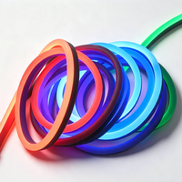 Bande LED néon flexible RGB adressable 12V étanche IP67 en silicone noir avec Wi-Fi / Longueur personnalisée USB
