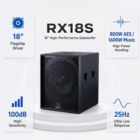 Subwoofer professionnel simple de 18 pouces, 800 W, haute puissance, en contreplaqué de bouleau
