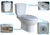 Economic Price Sanitary Ware Bathroom Ceramic WC Toilet With Wash Basin