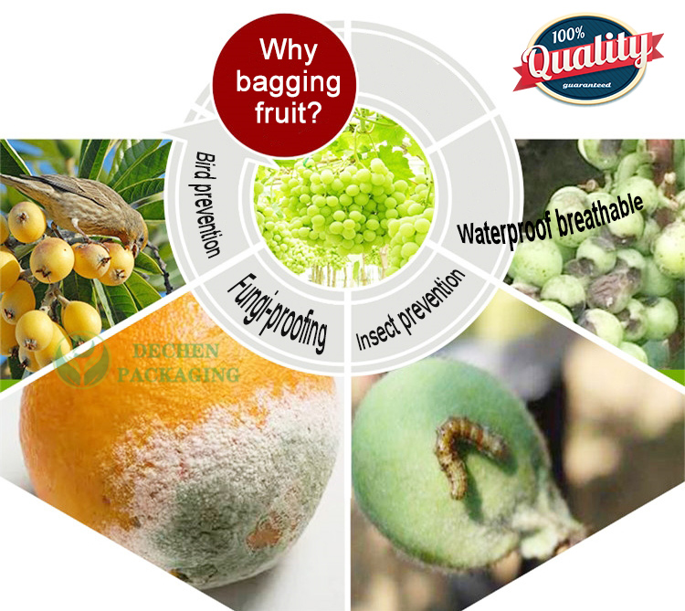 Packaging Mango Packing Paper Bag Grape Fruit Protection Bags