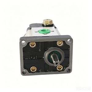 Pompe à engrenages à débit constant Xinrunda série 3, en acier inoxydable 304, à entraînement moteur rotatif, pour systèmes hydrauliques - Product Image 2