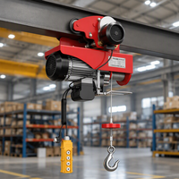 Mini-treuil électrique PA800 220V 800kg 1760lbs avec moteur 100% cuivre pur, treuil à câble portable pour la maison, le garage, l'atelier et les levages
