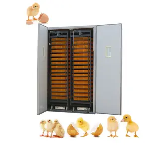 8448 frango pato ganso pássaro avestruz ovos incubadora ovo incubação máquina