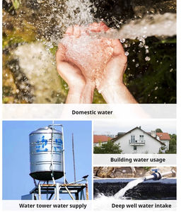 Fabricante de Bombas Sumergibles <span class=keywords><strong>Frog</strong></span>, Bombas Sumergibles de 4 Pulgadas, Bomba de Pozo Profundo Número 1 de China, Alta Calidad - Product Image 6