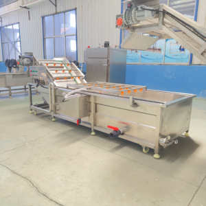 Electric Automatic Continuous <strong>Fruit</strong> Vegetable Air Bubble <strong>Washing</strong> Cleaning <strong>Sorting</strong> <strong>Machine</strong> - Product Image 2