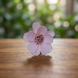 Flores Blancas de Madera Sola de 5 cm al por Mayor, Difusor de Aroma Ecológico para Interiores, Decoración del Hogar, Bodas, Eventos, San Valentín - Product Image 2