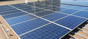 طعام من أجل بقع الزيت ، فعال في بقايا الجل ، أكاسيد النيتروجين ، فضلات الطيور ، سائل الطين - Product Image 4