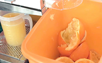Presse-agrumes commercial automatique pour oranges et agrumes – Extracteur de jus de fruits frais