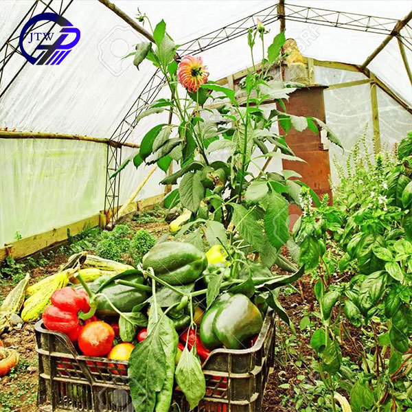 UV Protected PE Tunnel Greenhouse Garden