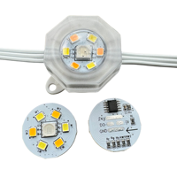 20 Pixels DC24V WS2805 RGBIC + CCT 5 Couleurs 30mm Hexagone Adressable LED Permanent Extérieur Maison Avant-toit Lumières 3Pin Blanc Fil IP68