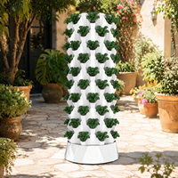 Système de jardinage hydroponique vertical à 10 niveaux pour ananas, avec pompe de circulation, pour laitues, herbes et légumes-feuilles