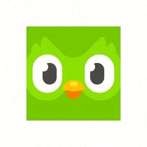 Cuenta Premium Duolingo Pro 1 Año, Activa Tu Propia Cuenta, Aplicable Globalmente en Todo el Mundo - Product Image 3