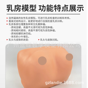 Modelo portátil para entrenamiento y examen de senos; práctica didáctica sobre patología mamaria femenina; modelo para autoexamen y cuidado. - Product Image 5