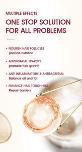 <span class=keywords><strong>Mascarilla</strong></span> Capilar Reparadora Profunda Fresh Arom, Proporciona Hidratación Intensa <span class=keywords><strong>para</strong></span> <span class=keywords><strong>Suavizar</strong></span> y Revitalizar <span class=keywords><strong>el</strong></span> <span class=keywords><strong>Cabello</strong></span> Seco, Quebradizo y Dañado - Product Image 5