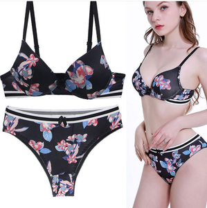 Ensemble de soutien-gorge sexy pour femmes, imprimé, vente chaude, ensemble de lingerie, photos - Product Image 5
