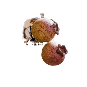 Simulación de adornos florales de <span class=keywords><strong>Granada</strong></span> seca, decoración del hogar, accesorios de fotografía de flores de bayas, adornos de habitación modelo - Product Image 5