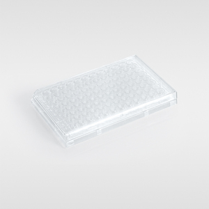 Ps pelat sumur Lab transparan bahan Ps plastik sekali pakai <span class=keywords><strong>6</strong></span> Well/12 Well/24 Well <span class=keywords><strong>Cell</strong></span> <span class=keywords><strong>Culture</strong></span> <span class=keywords><strong>Plate</strong></span> - Product Image 3