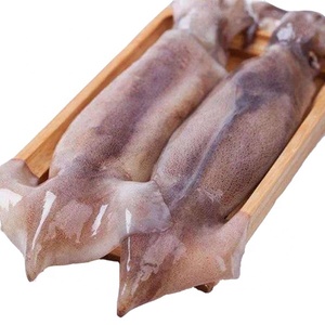 Fresco congelado de la argentina calamar illex toda la Ronda - Product Image 1