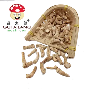 Dried shiitake root shiitake stalk mushroom leg root mushroom stipe feet shiitake mushroom stem