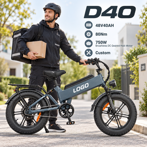 Vélo cargo électrique D40, moteur 750W, batterie 48V40AH, frein à disque 20 pouces, cadre en alliage d'aluminium, E-bike personnalisé OEM - Product Image 1
