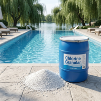 March EXPO Pure White Hard Pressed Slow Dissolving 99% Kemurnian Tinggi Pengolahan Air Kolam Renang Pembersih Kolam Granular