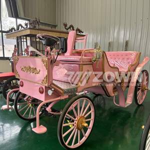 Best Price Electric <b>Pink</b> Sightseeing Horse Carriage Manufacturer Wedding Vehicle Wagon Sightseeing Electric Horseless Carriage - Product Image 1