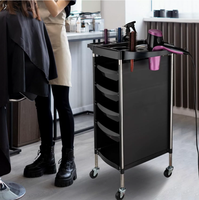 Chariot de coiffure professionnel transfrontalier en plastique étanche pour outils de permanente et de coloration, conception réutilisable, grande capacité de rangement pour les cheveux