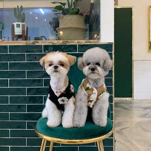 Veste pour chien en polyester moderne, mignonne, à motif floral, luxueuse, confortable et chaude, vêtements d'hiver et de printemps en gros - Product Image 3