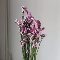 Bouquet de Myosotis séché et préservé naturel pour remplissages floraux de mariage et décorations intérieures